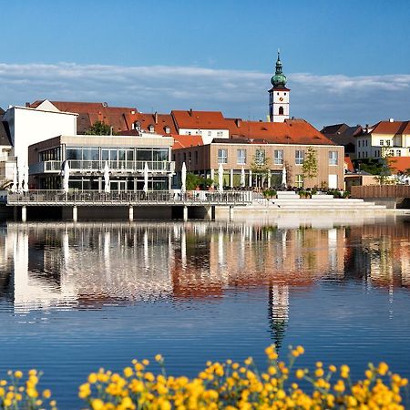 Seenario - Art & Health Hotel Am See Tirschenreuth Exterior photo
